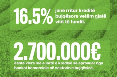The increase of lending in agriculture sector 