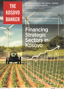 The Kosovo Banker no.6- December 2014