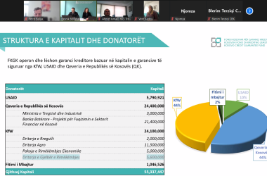 Bankat arritën të implementojnë 90% të limiteve të lejuara për garantimin e kredive nga programi i rimëkëmbjes ekonomike