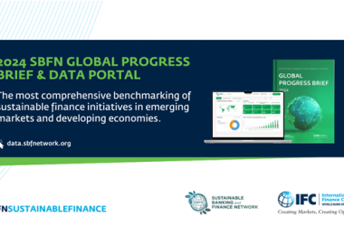 2024 Global Progress Brief, Kosovo part of it 