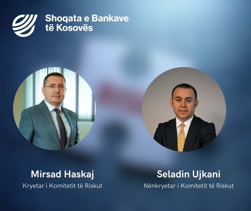 Komiteti i Riskut i ShoqatĂ«s sĂ« Bankave tĂ« KosovĂ«s zgjodhi kryesinĂ« đ